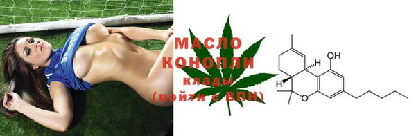 амф Елабуга